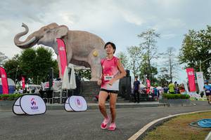 BIB: 
                            <button type="button" onclick="openModal(26528816)" class="btn btn-primary btn-sm float-right btn-popup" data-toggle="modal" data-target=".modal-high-quality">
                        <i class="fas fa-shopping-cart"></i> Add to Cart
                    </button>
                                            <button type="button" onclick="isThisMe(26528816, true)" class="btn btn-success btn-sm float-right btn-popup btn-isme hidden" data-toggle="tooltip" data-placement="bottom" title="นี่คือรูปของคุณใช่ไหม คลิกที่นี่เพื่อเอาเข้าอัลบั้ม">
                        <i class="fas fa-plus"></i> Add to album
                    </button>
                    <button type="button" onclick="isThisMe(26528816, false)" class="btn btn-warning btn-sm float-right btn-popup btn-isnotme hidden">
                        <i class="fas fa-ban"></i> Remove from album
                    </button>